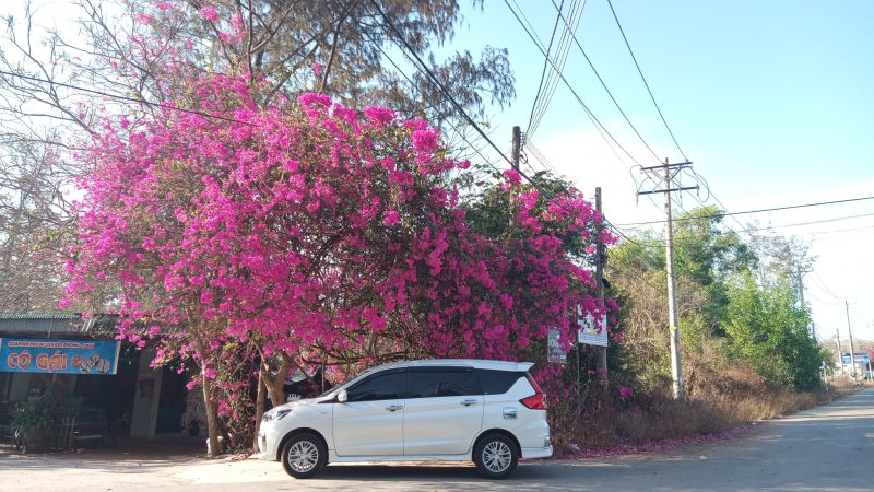 taxi gia kiệm thống nhất