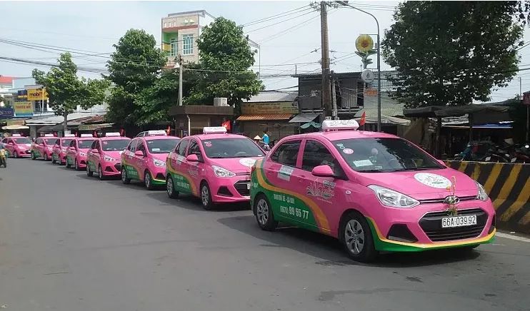 taxi sen hồng cao lãnh